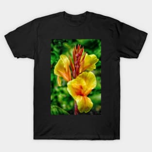 Canna Lily T-Shirt